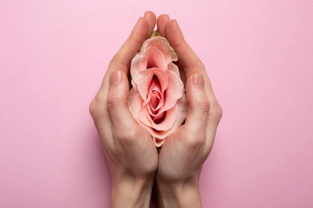ginecologista e obstetra